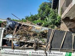 Best Commercial Junk Removal  in Waupun, WI